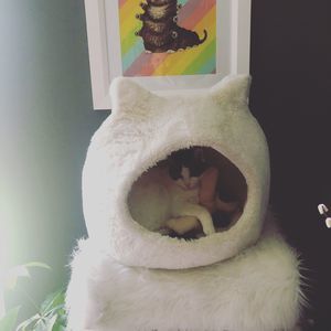 Meet your Posher, Vy